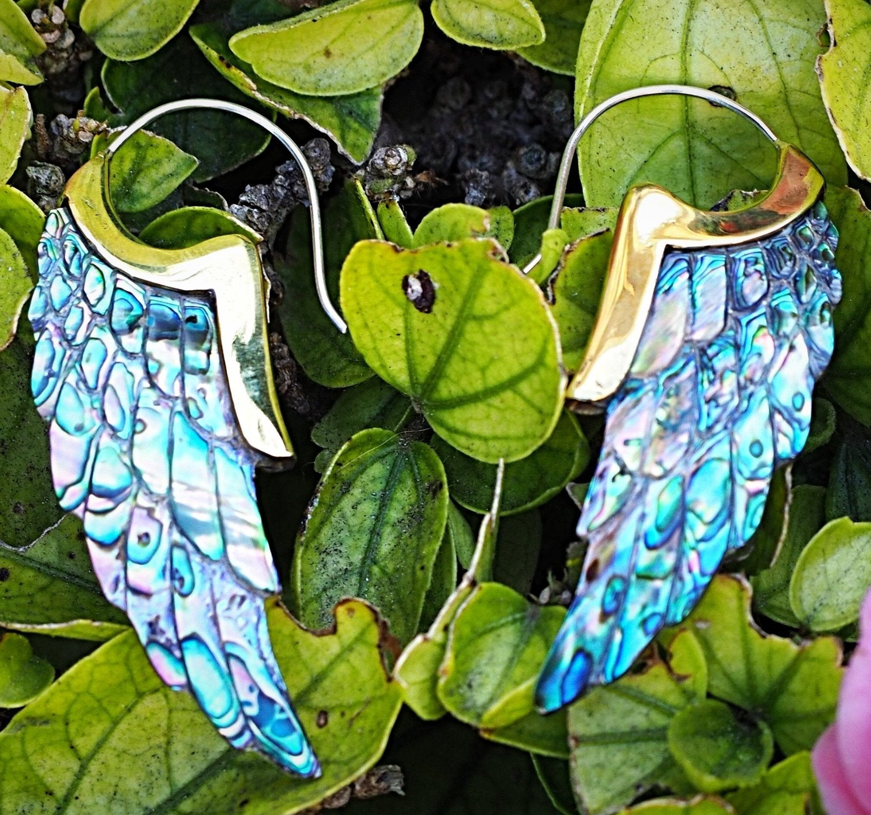 Sculpted Shell Earrings