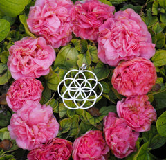 Flower of Life Pendant and Earrings